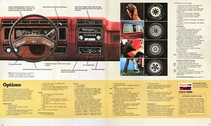 1980 Ford Pickup-18-19.jpg